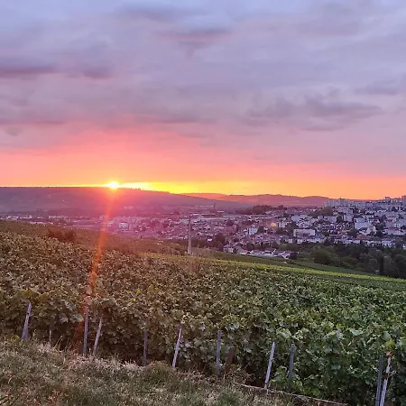 Looking Flor En Champagne