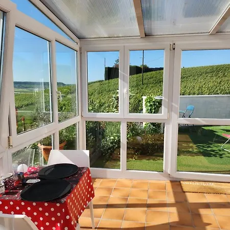 Looking Flor En Champagne *