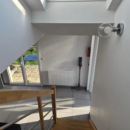 Looking Flor En Champagne Épernay