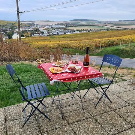 Looking Flor En Champagne Nyaraló *