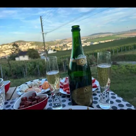 Looking Flor En Champagne * Épernay