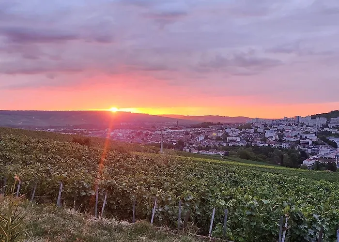 Looking Flor En Champagne