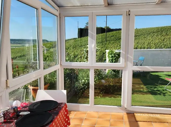 Looking Flor En Champagne *