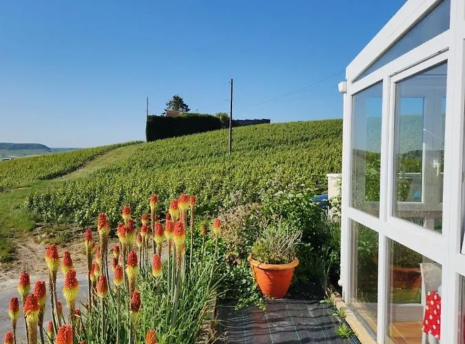 Looking Flor En Champagne Casa de Férias *