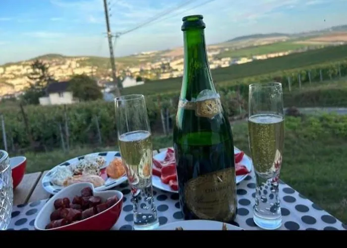 Looking Flor En Champagne * Épernay